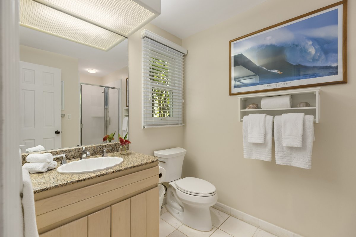 Guest Bedroom Bathroom with vanity, mirror, toilet, and walk-in shower