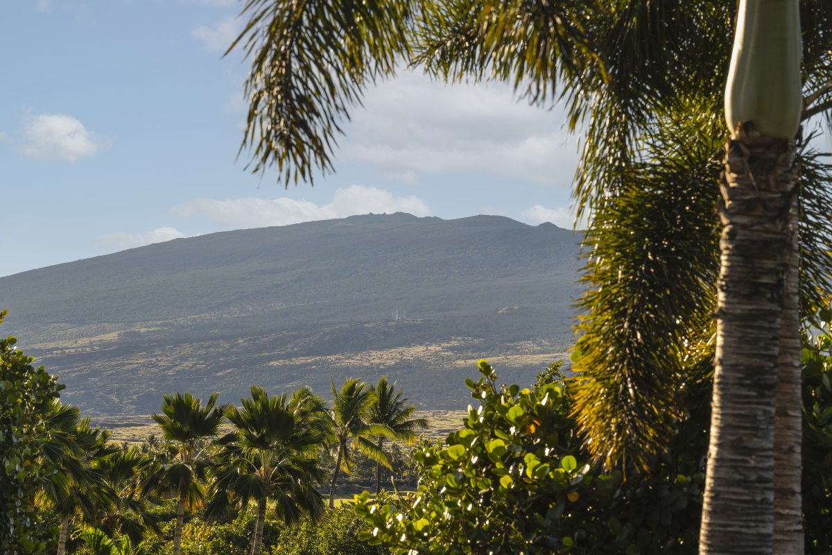Mountain views rise majestically beyond tropical palms, creating a stunning backdrop for the property's island setting.