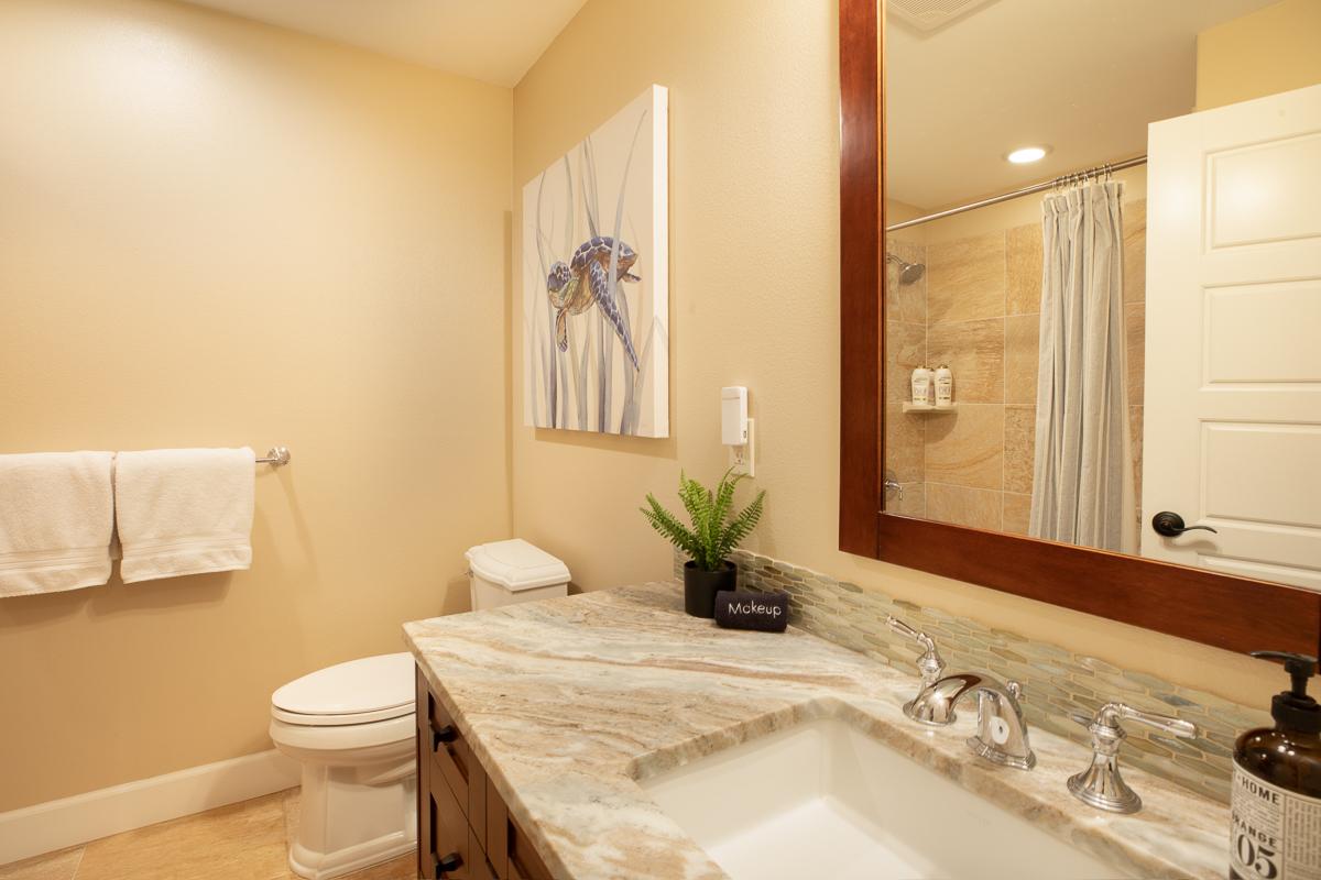 A well-designed lower-level common bathroom, featuring modern finishes and ample space for all guests.