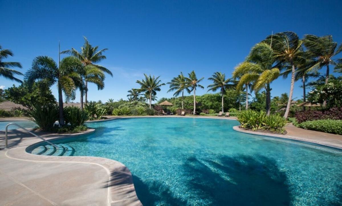 Enjoy a relaxing swim or lounge by the pool, nestled among palm trees for the ultimate tropical retreat.