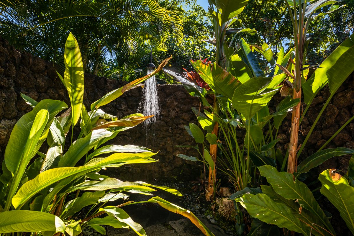 Hale Kahikole
