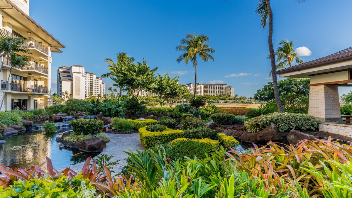 The tropical plants are a photographer's dream.