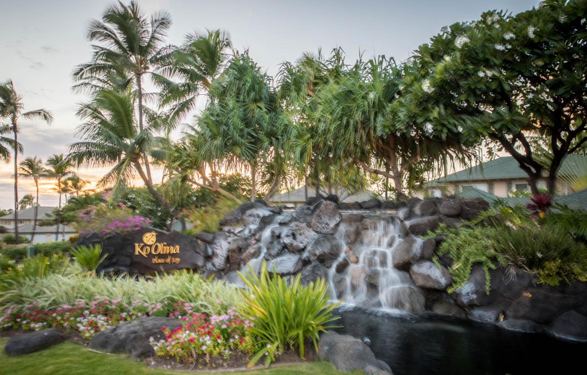 Waterfalls near the entrance to Ko Olina.