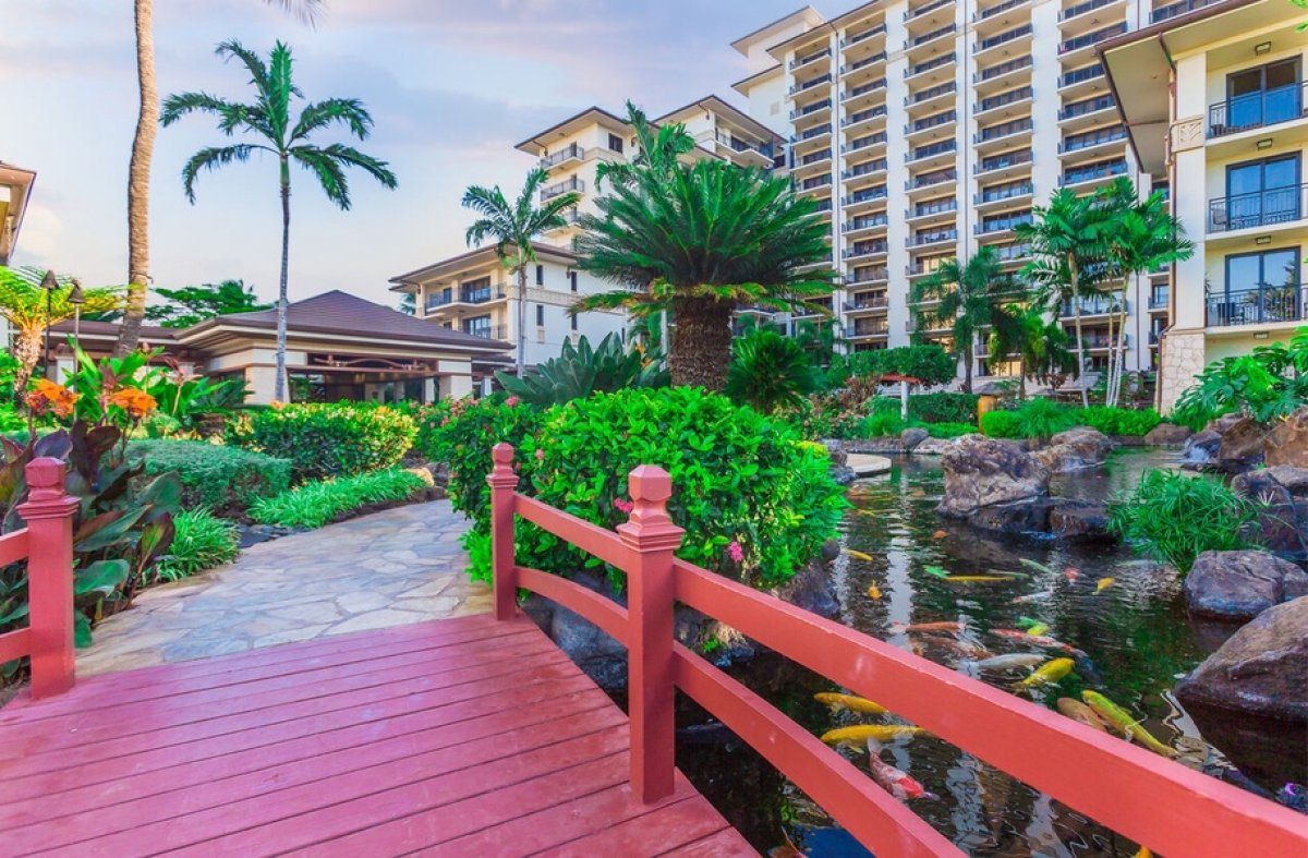 Take a stroll at our Koi pond