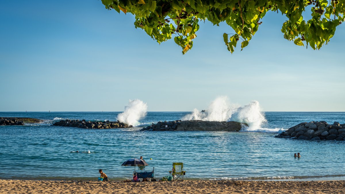 Beach days are for relaxing on the sandy shores.