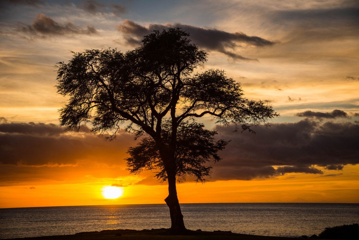 Gorgeous island sunsets.