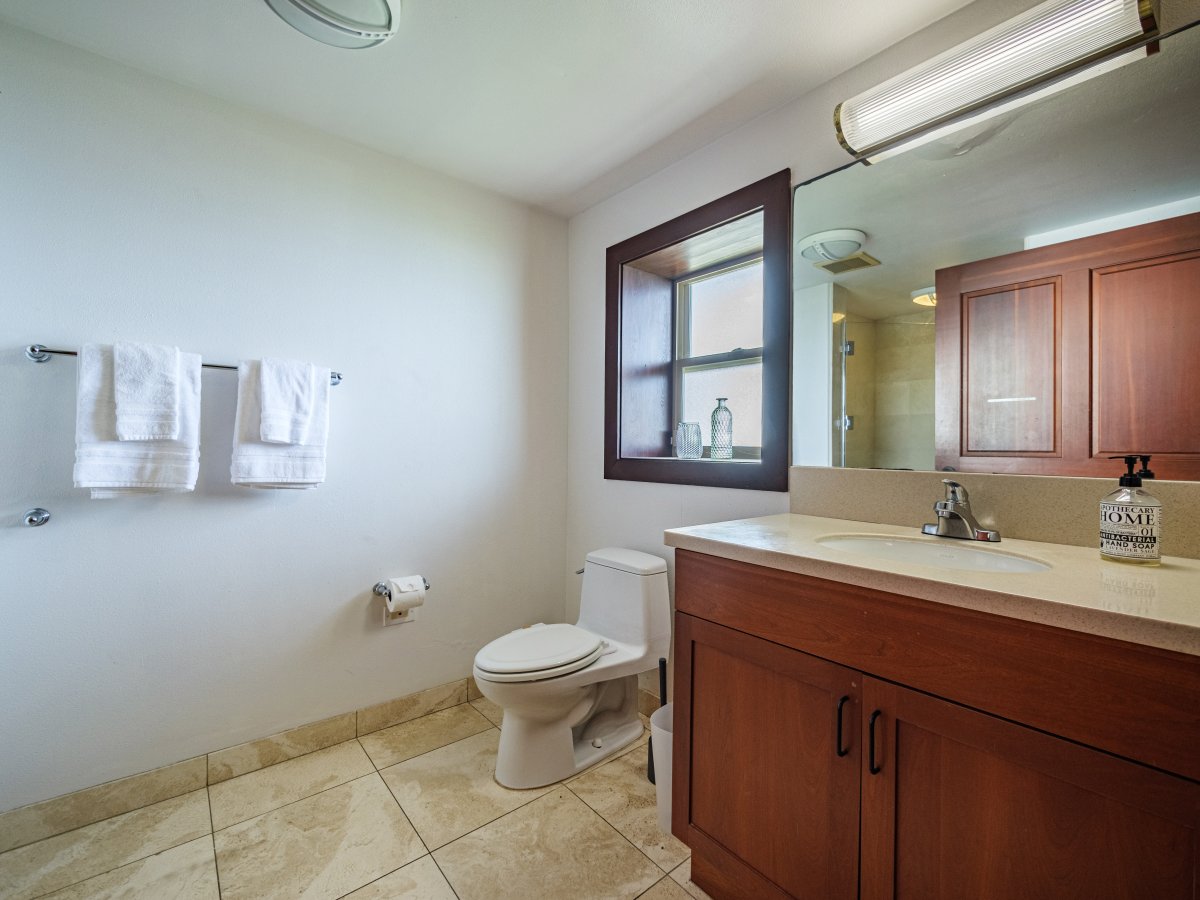 Ensuite bathroom with a walk-in shower.