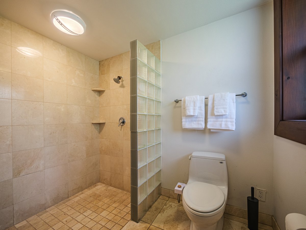 Ensuite with a walk-in shower.