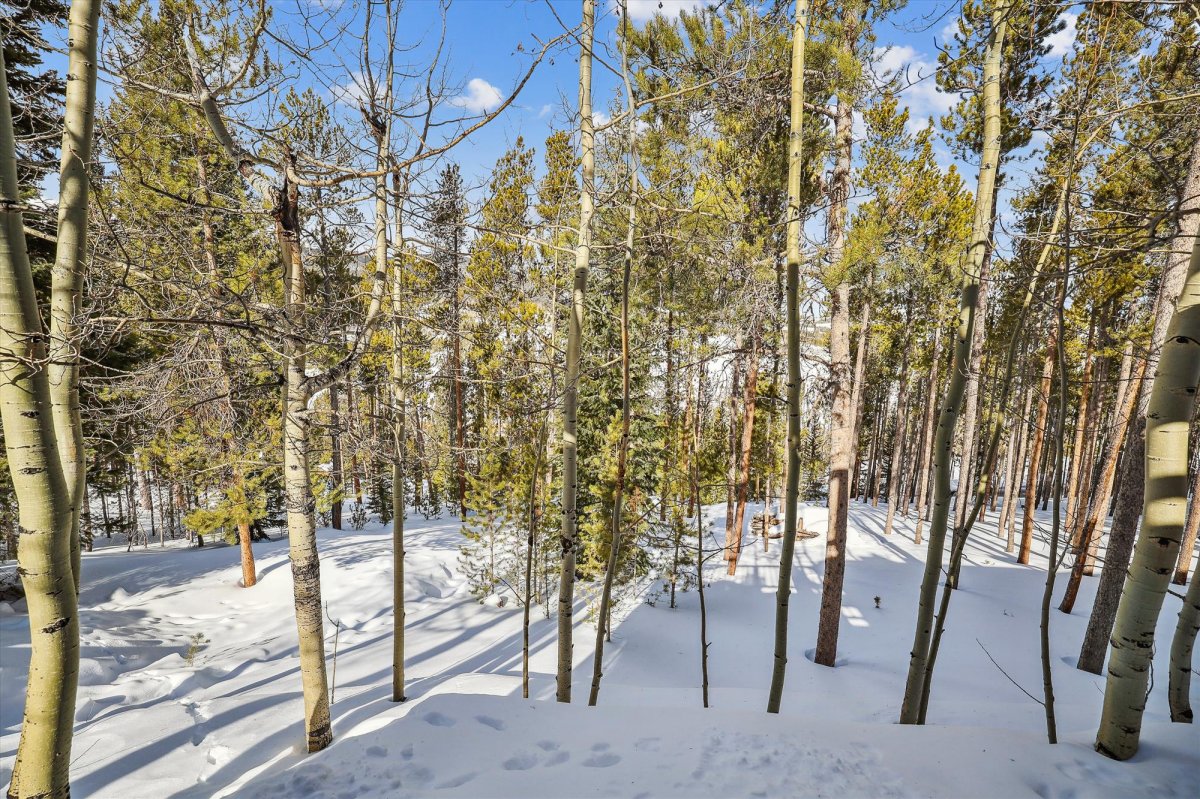 Exterior, Wildwood Peaks, Breckenridge Vacation Rental