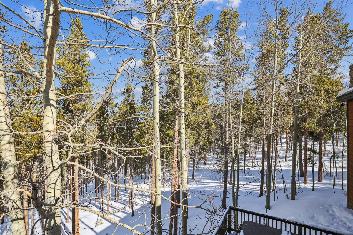 Exterior, Wildwood Peaks, Breckenridge Vacation Rental