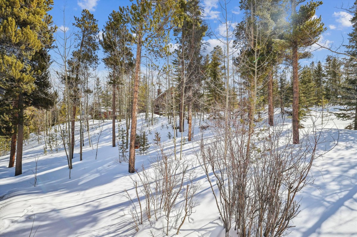 Exterior, Wildwood Peaks, Breckenridge Vacation Rental