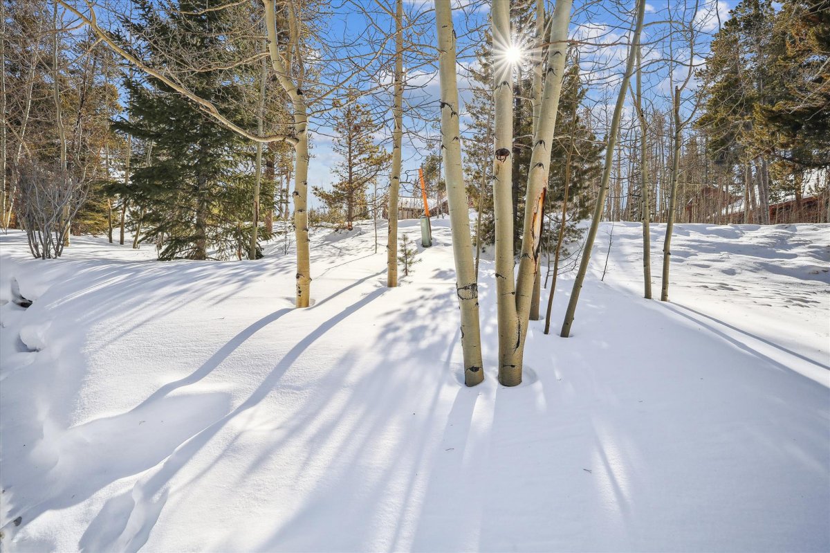 Exterior, Wildwood Peaks, Breckenridge Vacation Rental