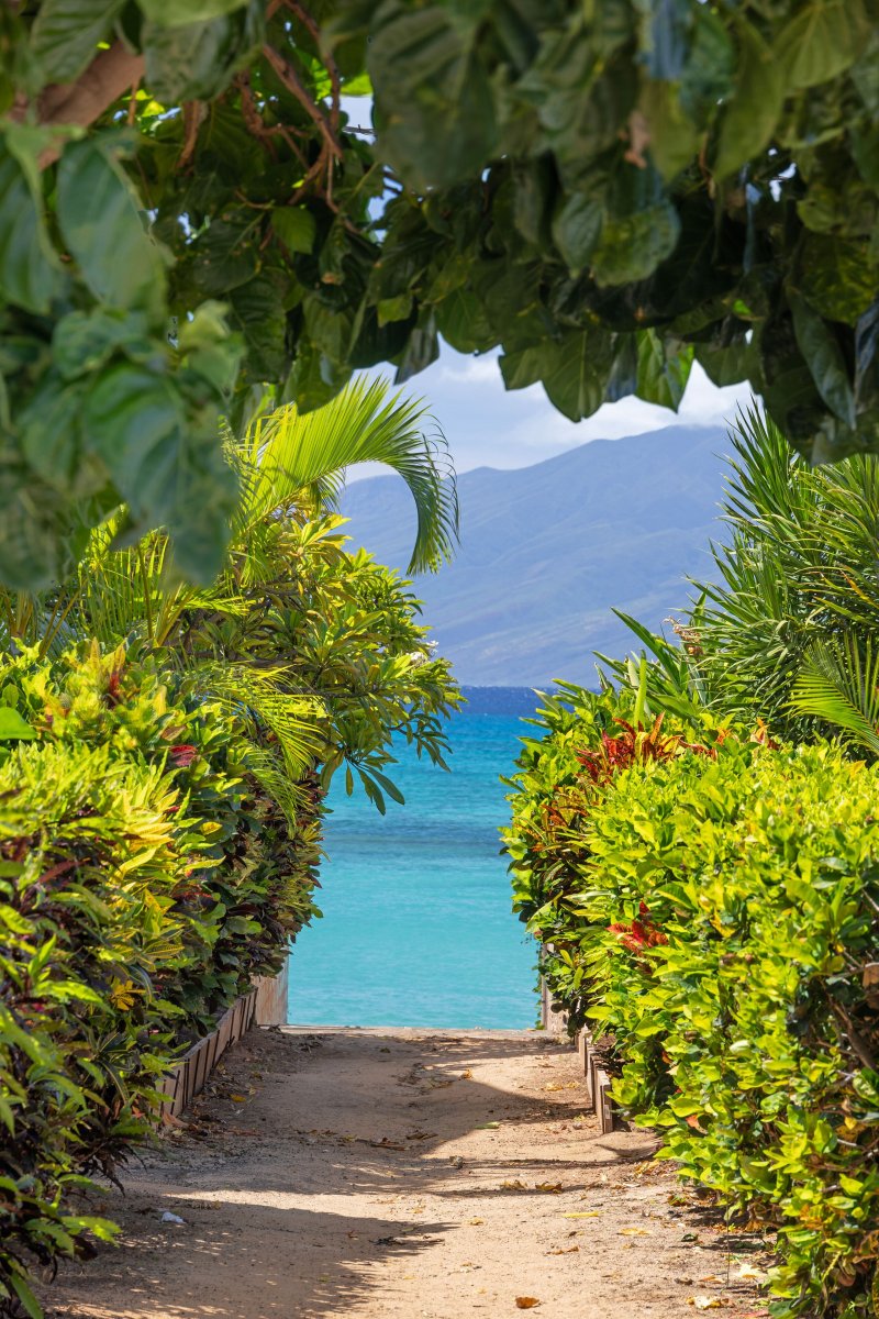 This path sits directly across the street from the home, straight to the beach!