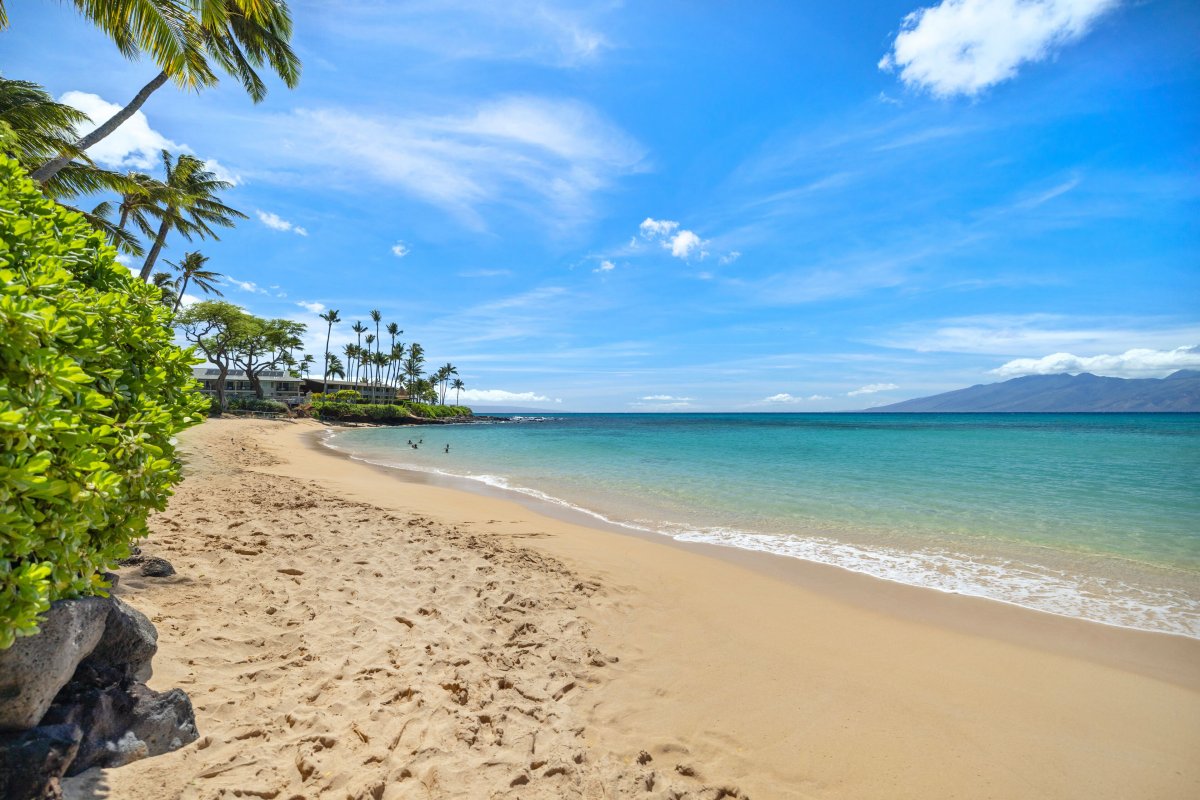 Across the street from the home, Maui's top beach!