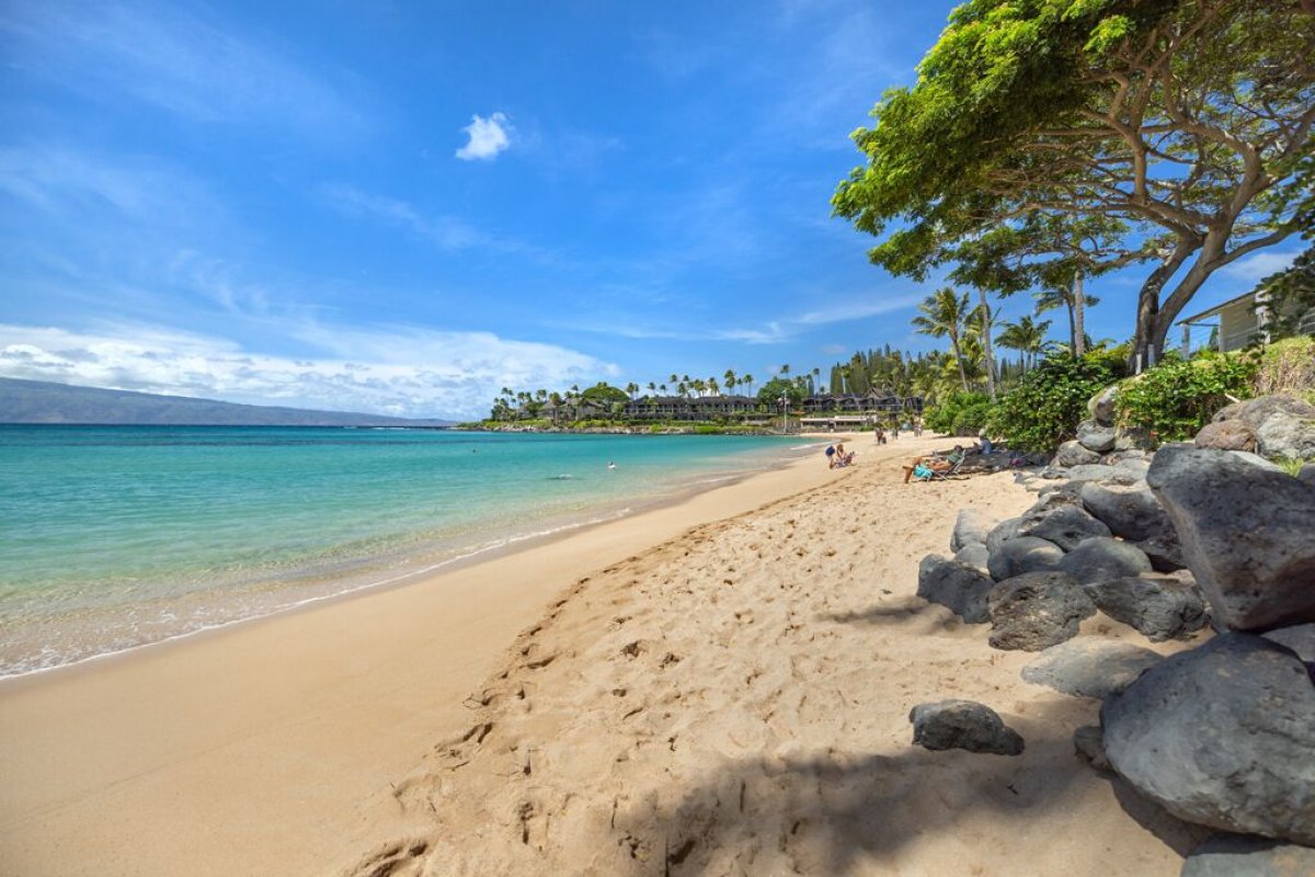 Across the street from the home, Maui's top beach!