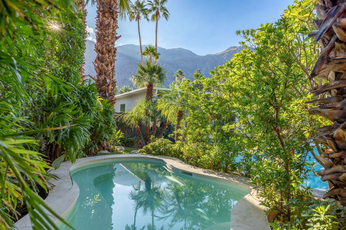 Modern Oasis