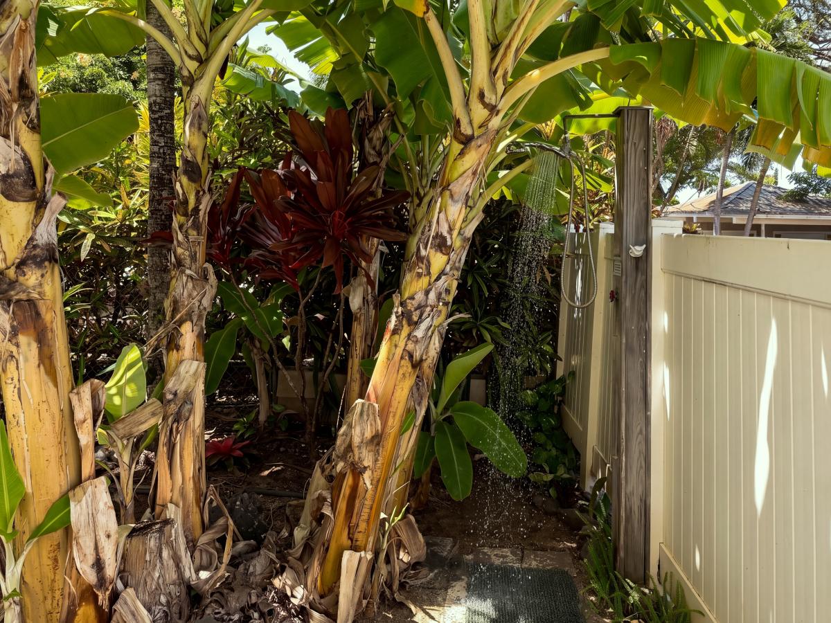 After the beach, the outdoor shower among the banana trees. A small luxury you'll miss the moment you leave.