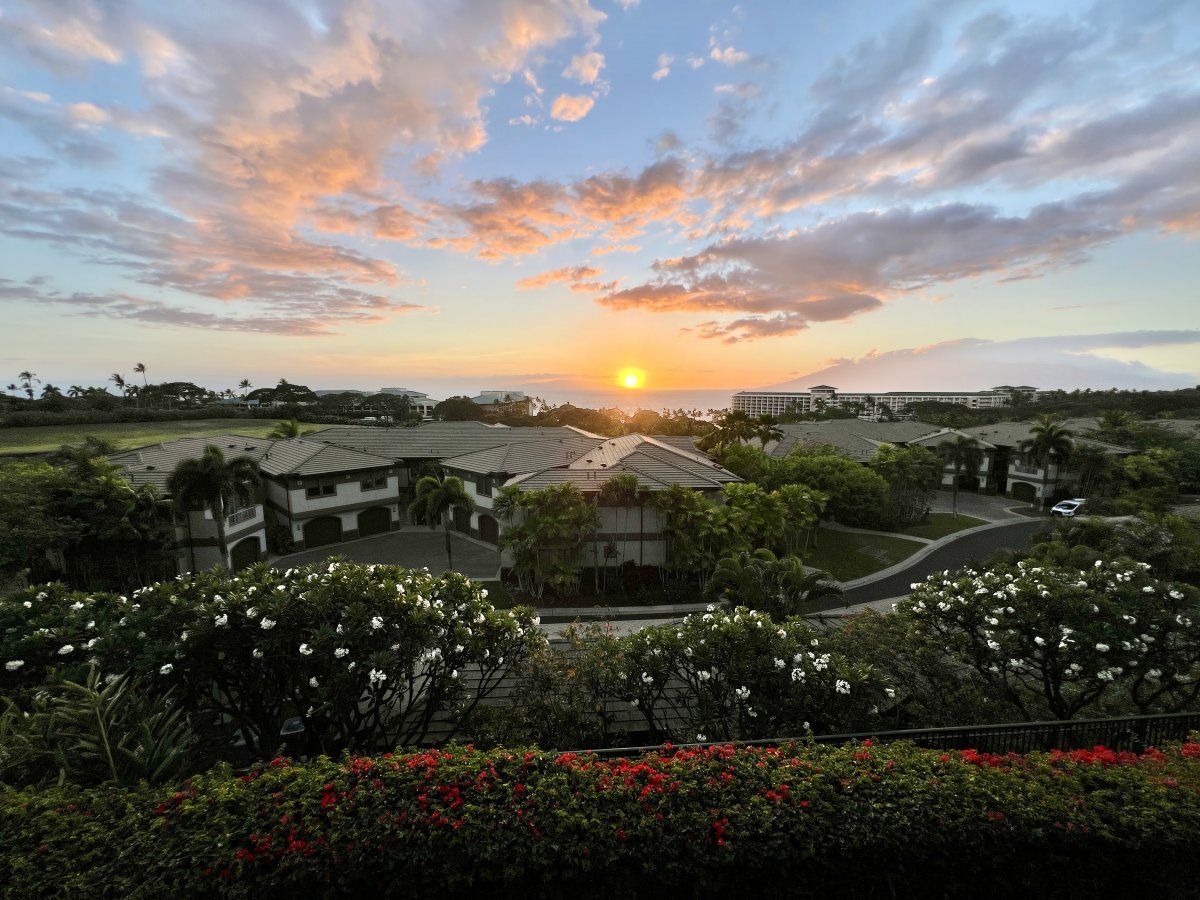 Witness the day’s final light as it dips below the horizon, casting a warm glow over the tranquil surroundings.