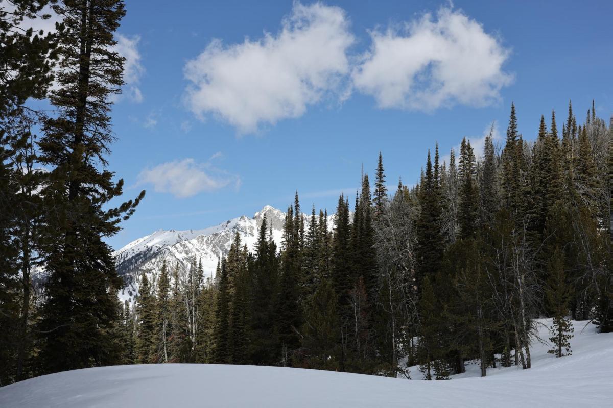 Backcountry Lookout