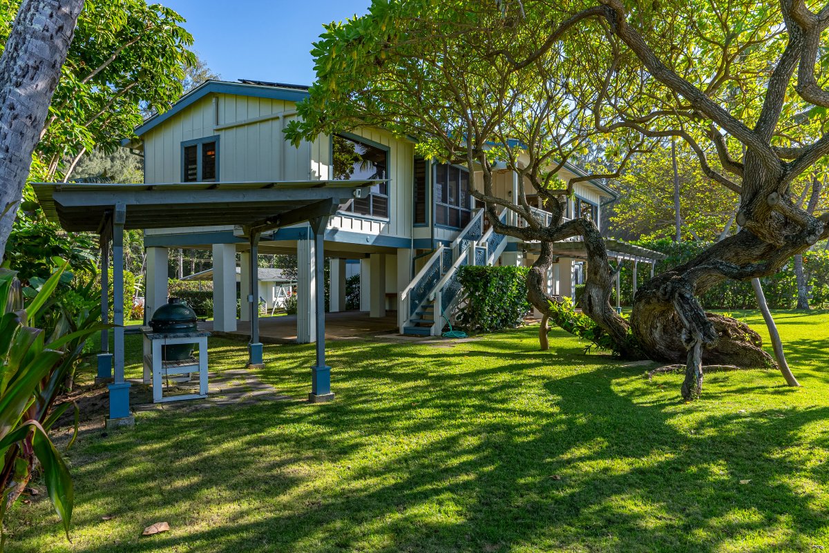 Expansive backyard with tropical landscaping, perfect for lounging or outdoor games.
