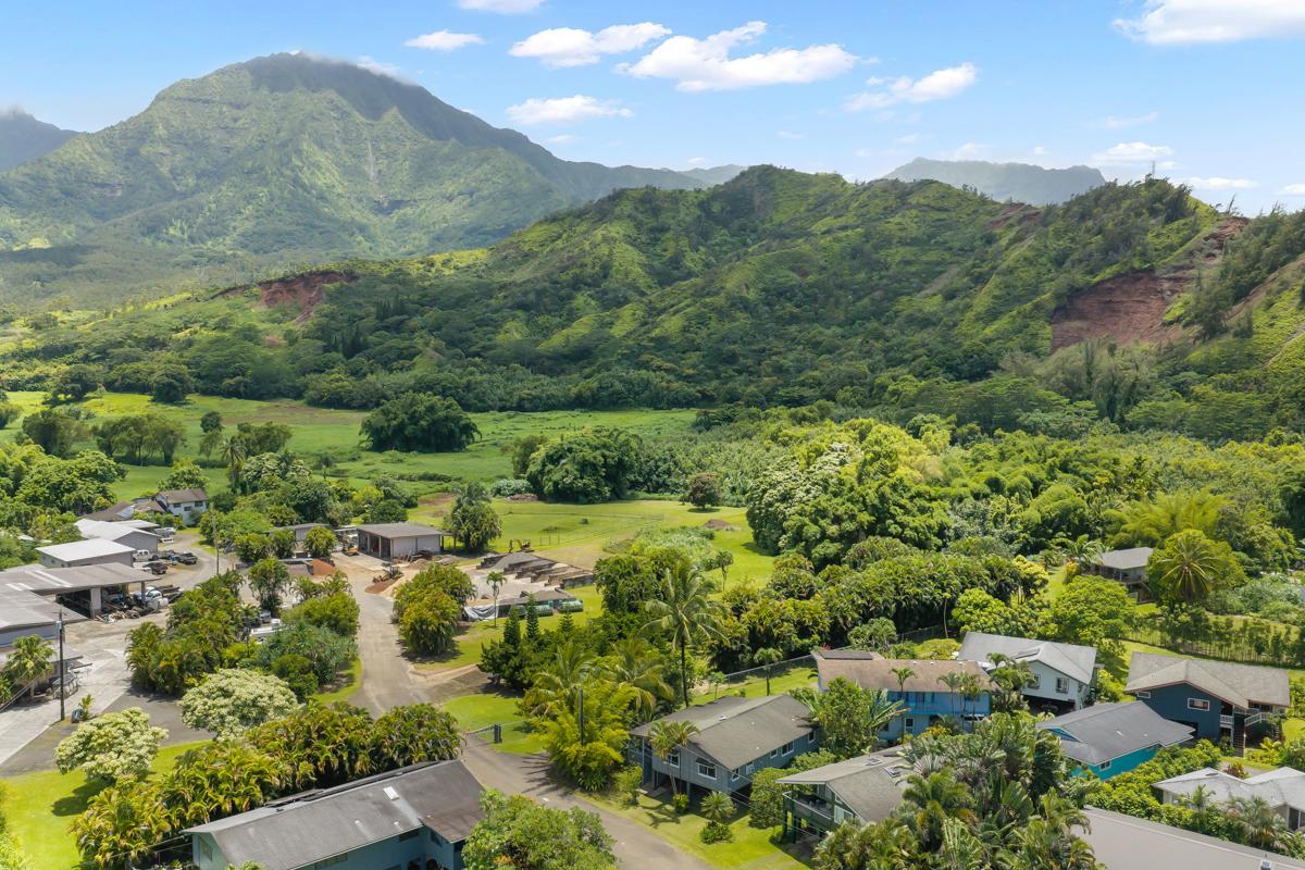 Hanalei's ridgeline wraps the valley in green, homes scattered along the flat below.