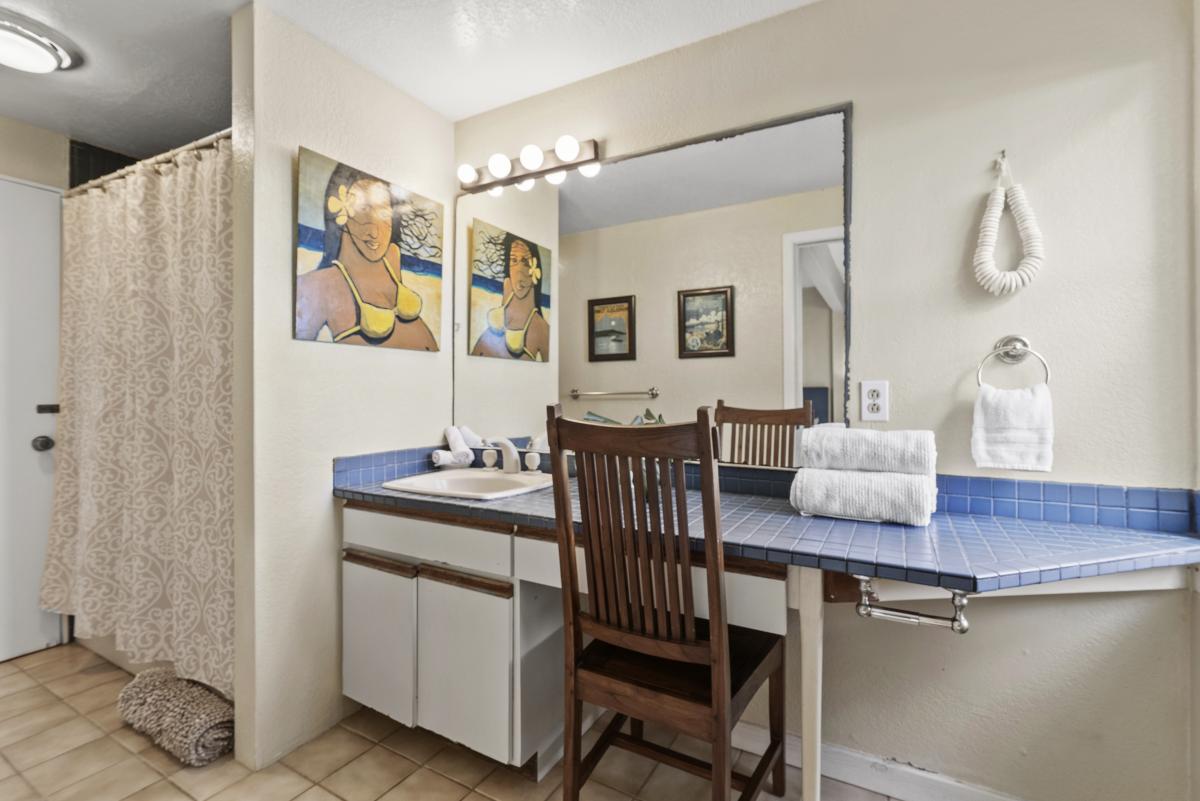 Guest bathroom ensuite with a vanity area and a walk-in shower.