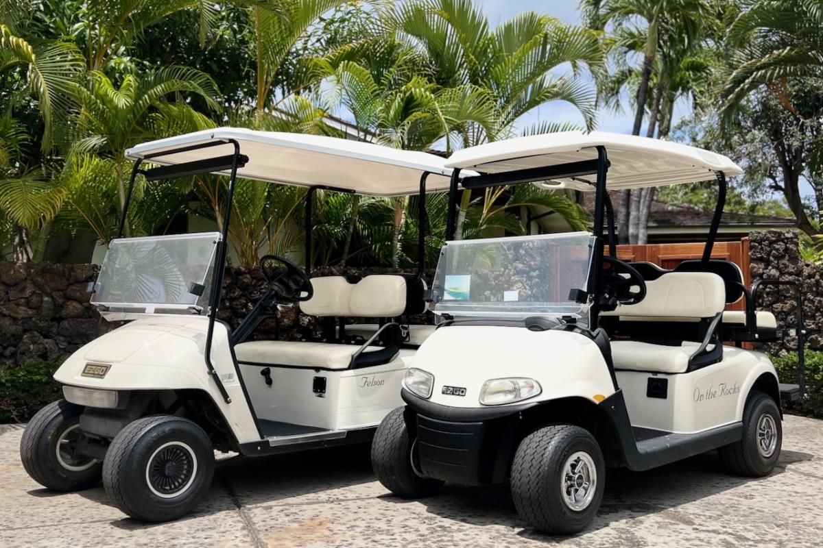 This property comes with complimentary use of two 4-seater golf carts.