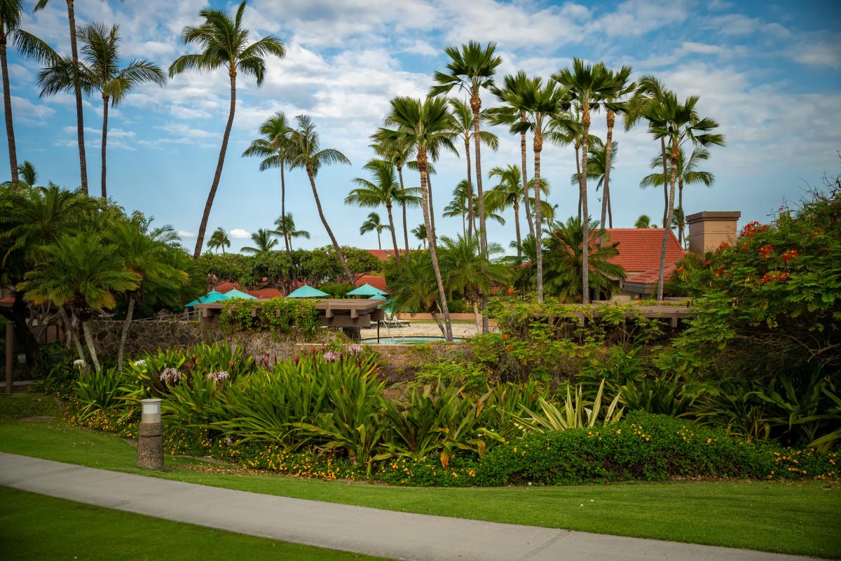 Wailea Point 3003