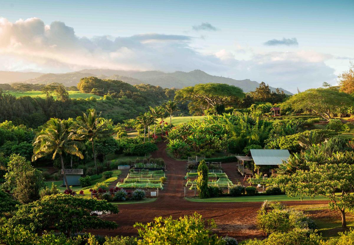 Lodge at Kukui'ula Bungalow 10