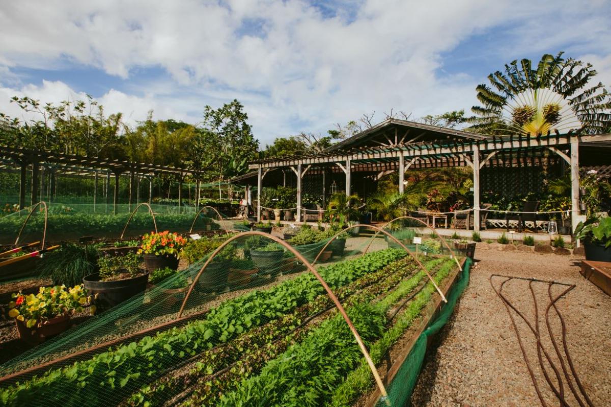 Lodge at Kukui'ula Cottage 15