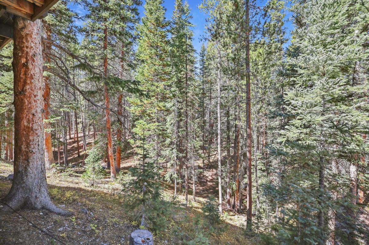 Summit Solitude Estate