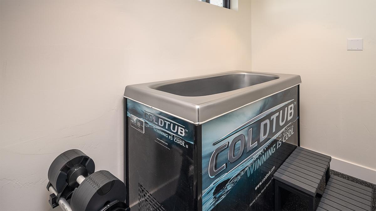 Fitness Room, Lower Level - With Cold Plunge