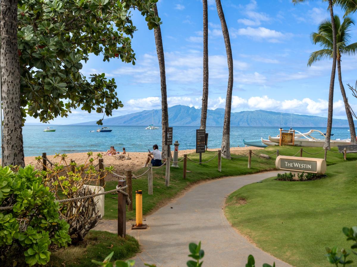 Paved Beachfront Pathway