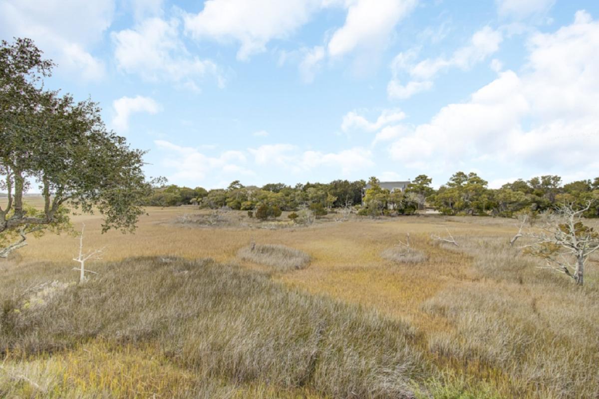 Stylish marshland view with golden grasses and a tree lined horizon under a blue sky.