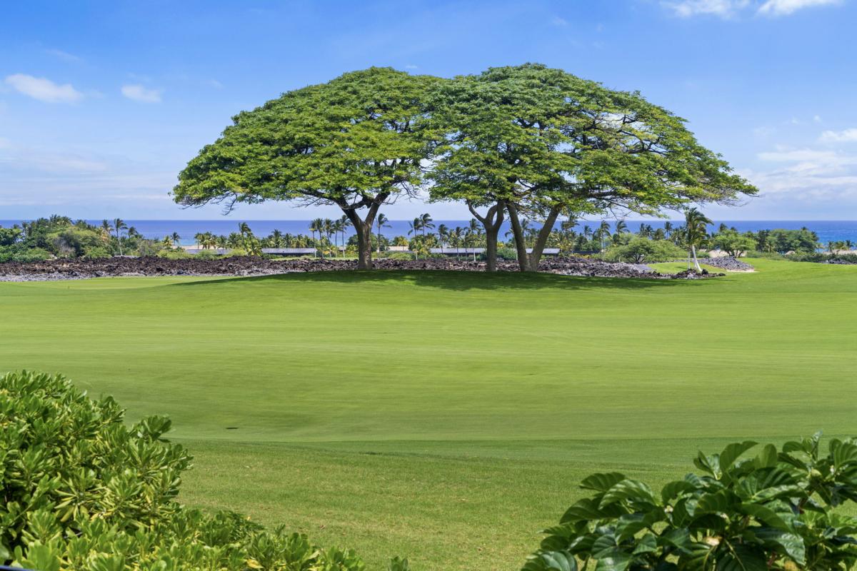 Take in the signature Hualalai view, where manicured greens roll straight toward the bright blue Pacific.