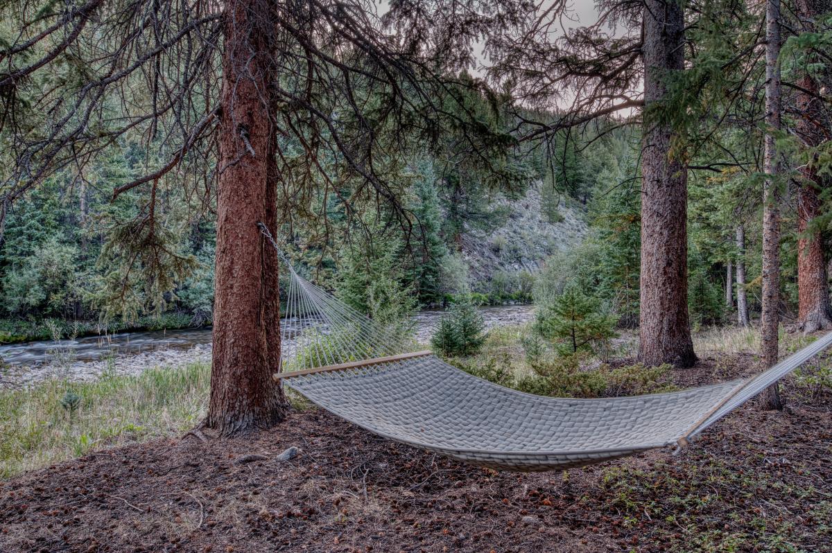 Exterior - Hammock beside the river