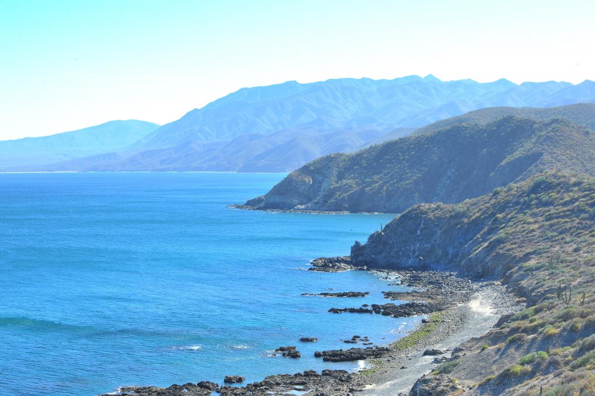 Ocean and Cliffside view