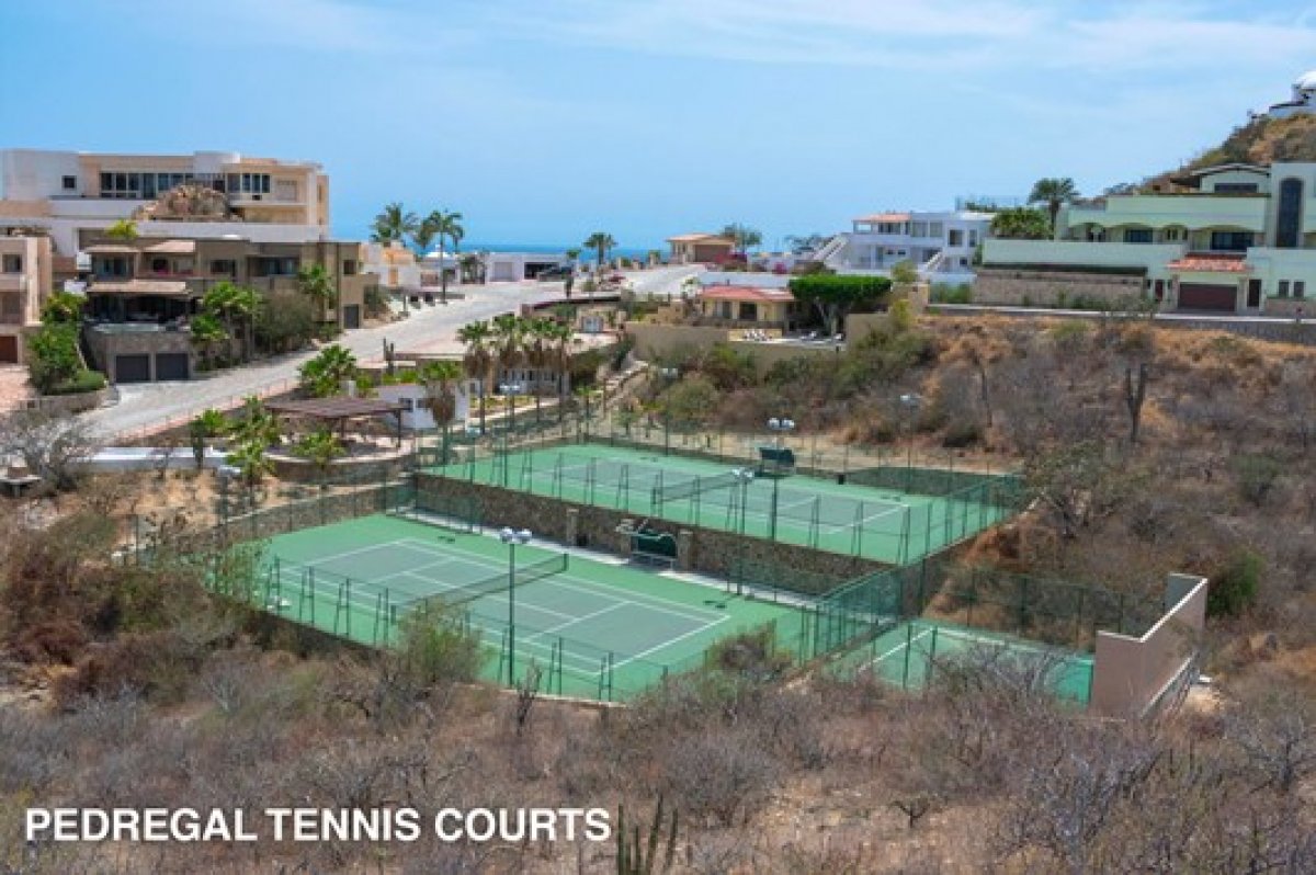 Cabo Little Lion Villa