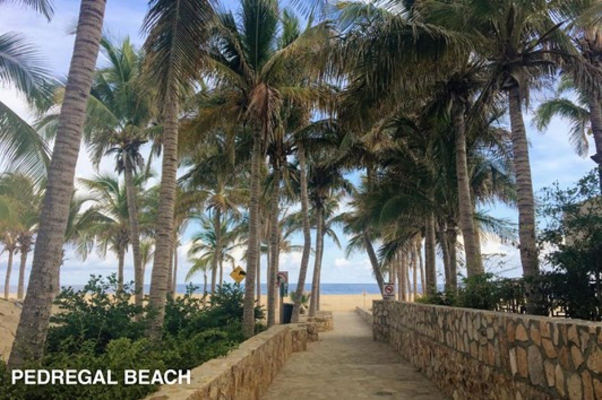 Cabo Little Lion Villa