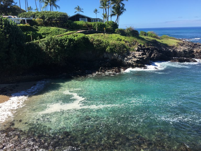 Napili 
