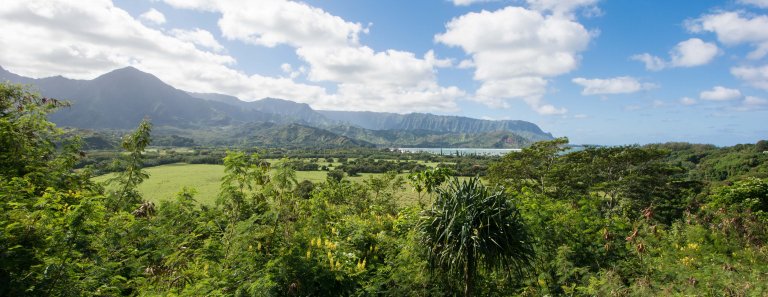 Hanalei