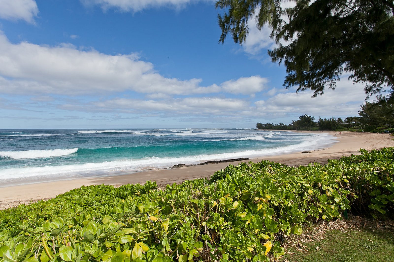 Sunset Beach House North Shore Oahu Vacation Rental Exotic Estates