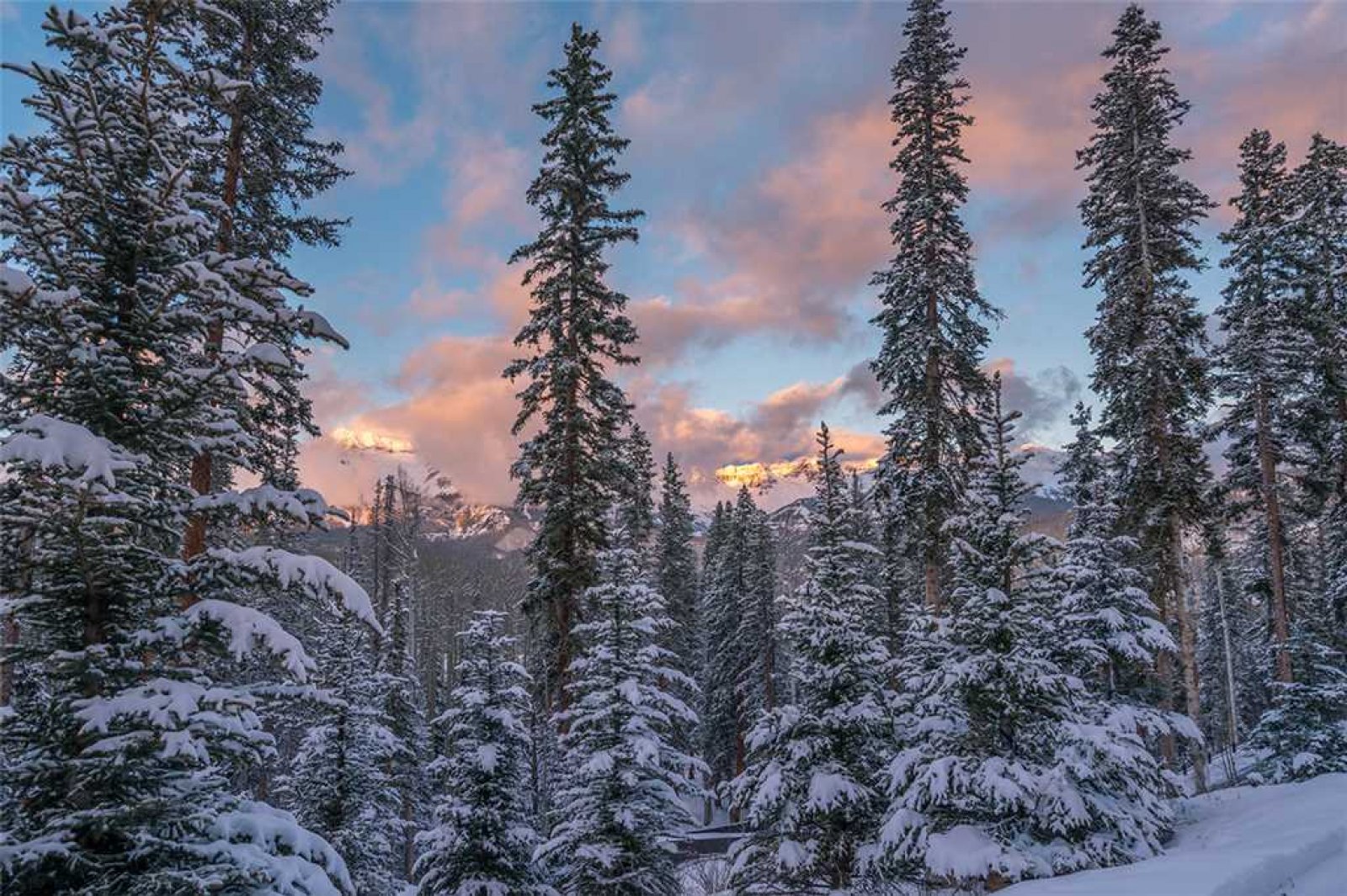 Autumn Ridge Mountain Escape | Telluride Vacation Rental ...
