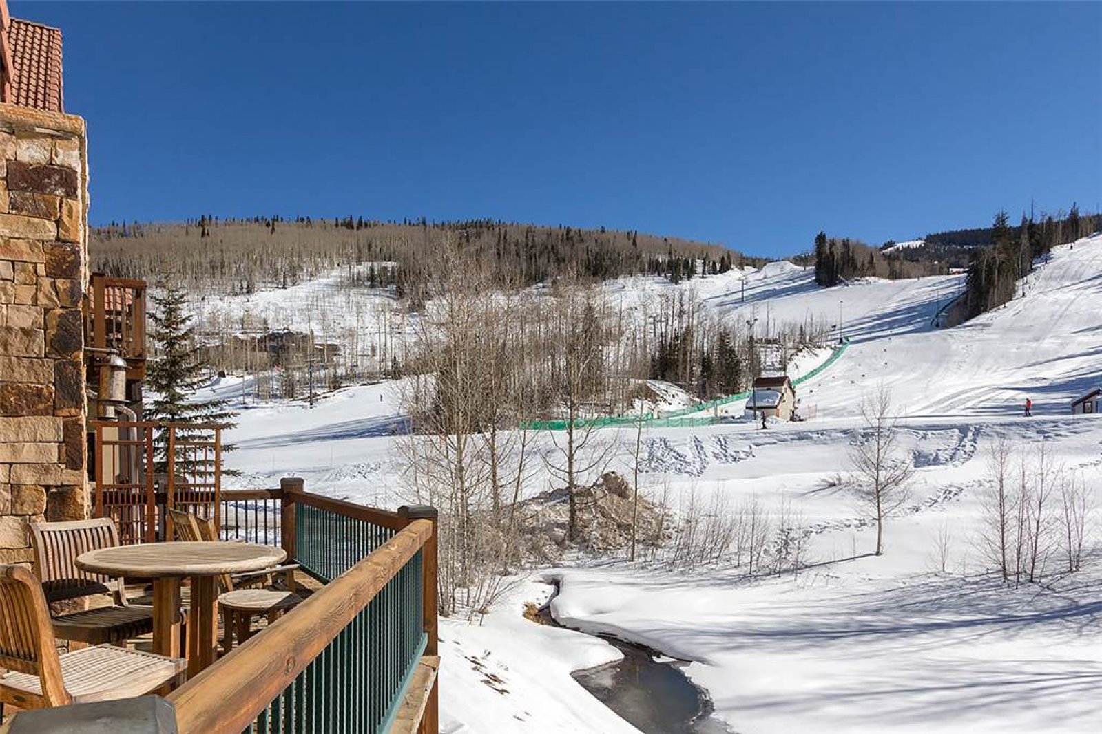 Telluride Condo at Mountain Village Telluride Vacation Rental