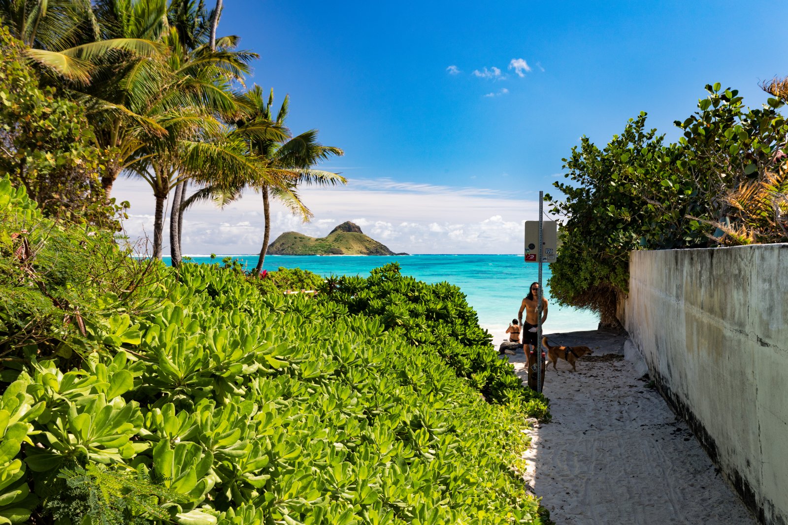 Hale Mokulua Kailua Vacation Villa