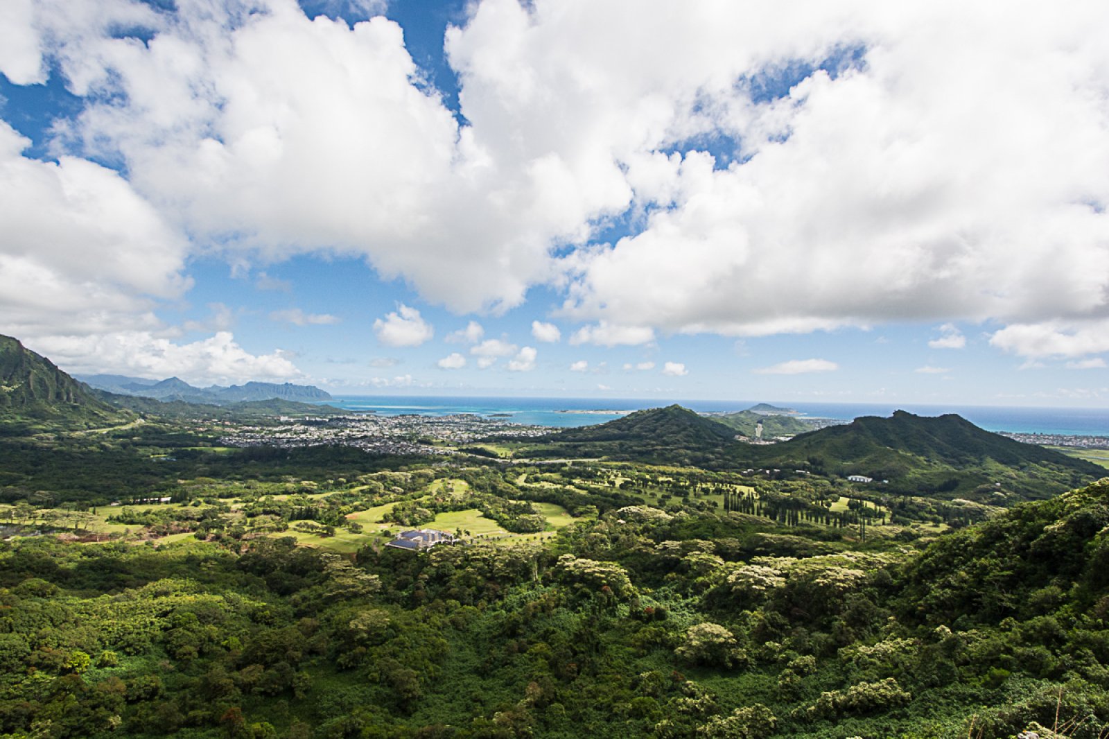 Kehaulani Monthly Rental Kailua Vacation Rental Exotic Estates