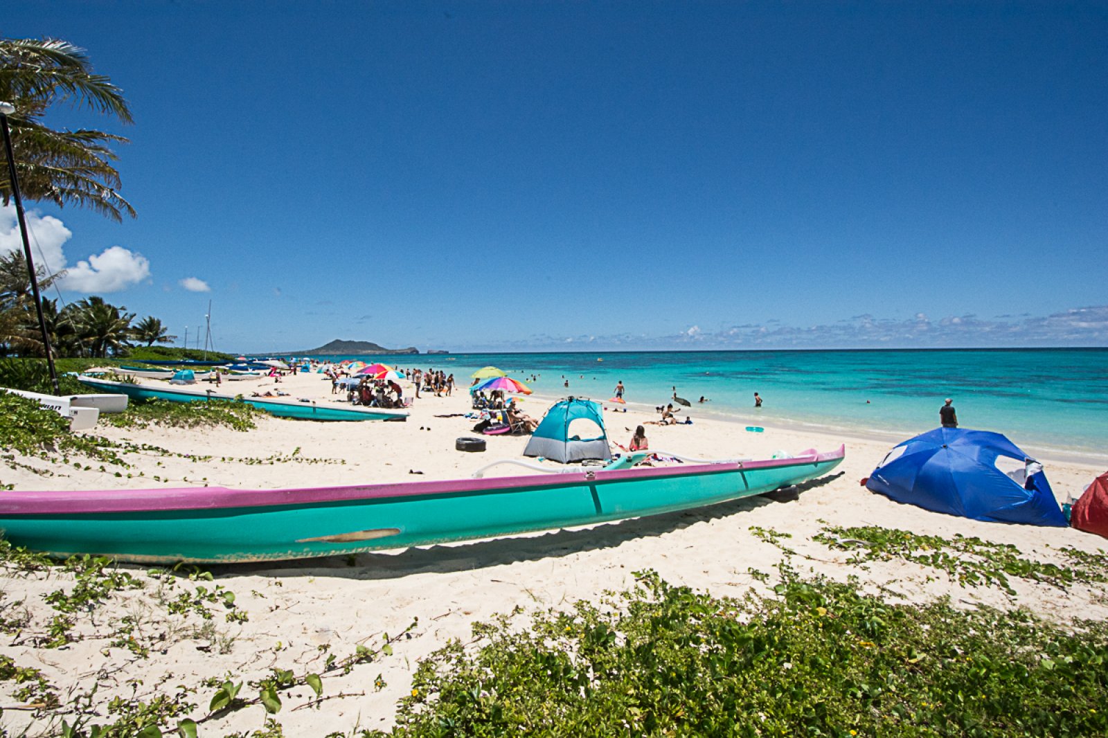 Kehaulani Monthly Rental Kailua Vacation Rental Exotic Estates