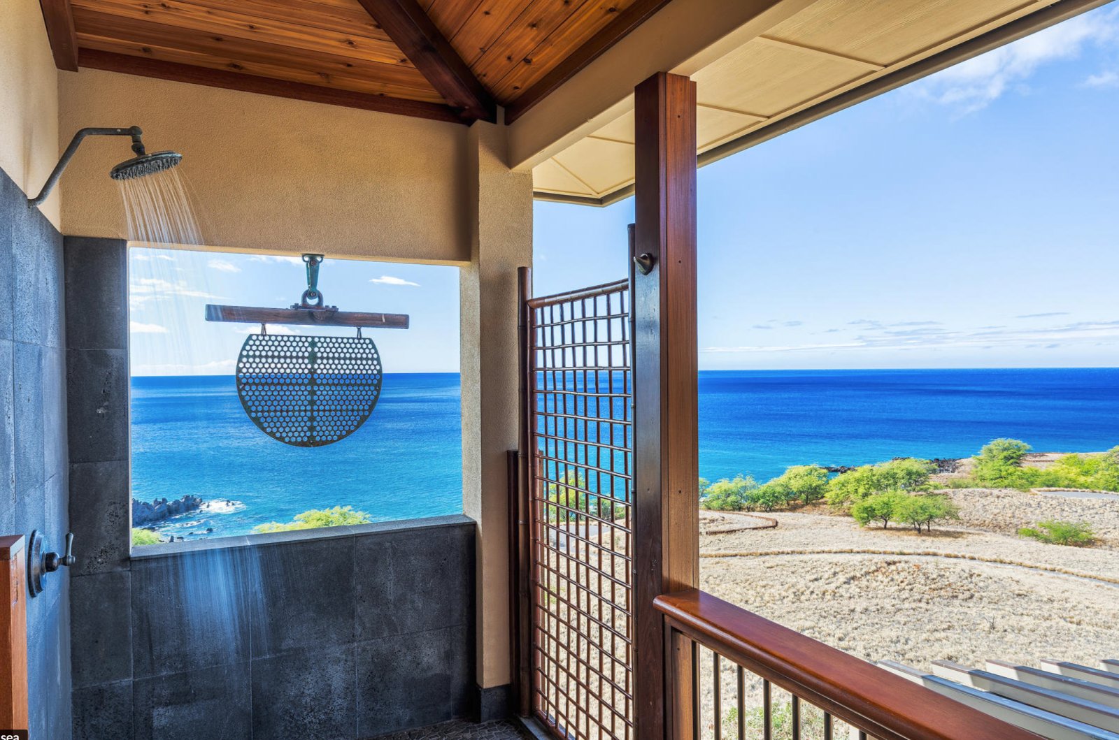 Whales Play at Kohala Waterfront Big Island Vacation Rental Exotic