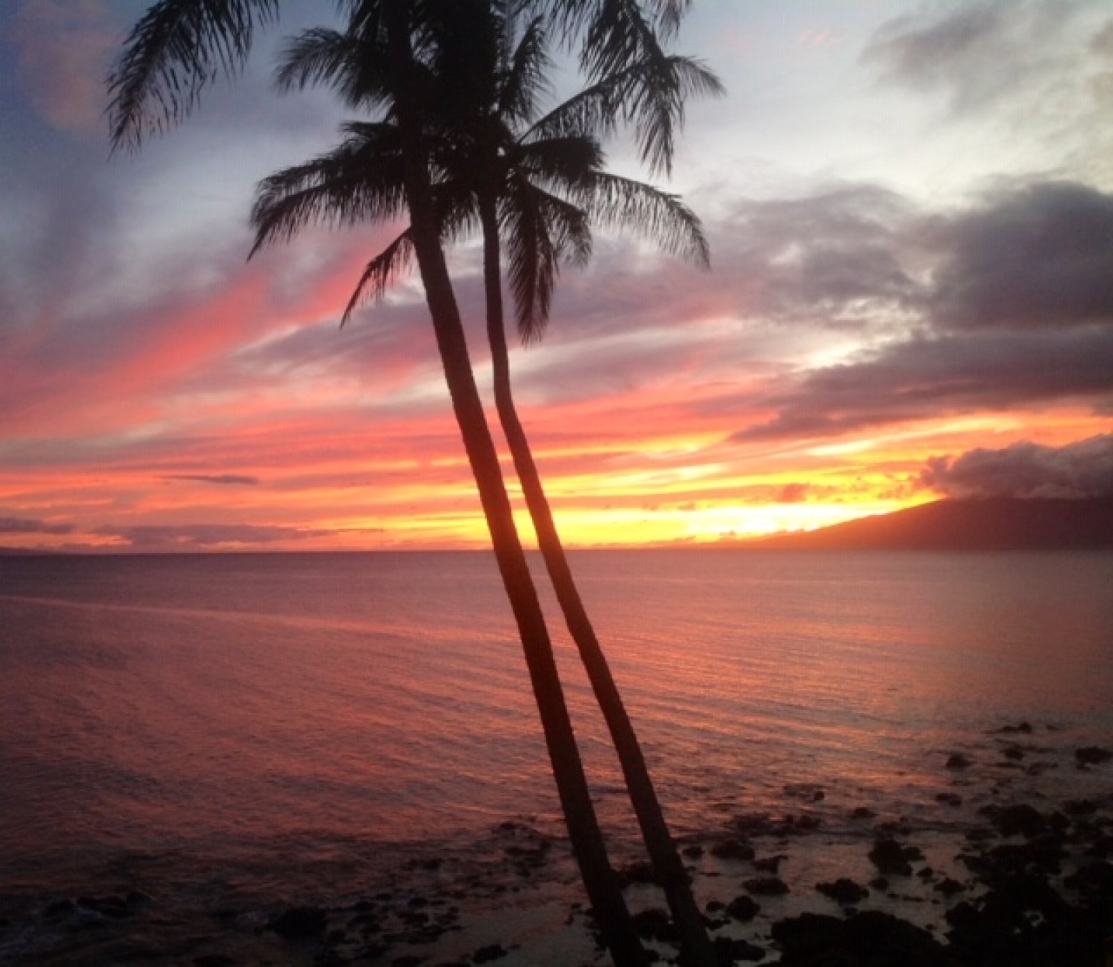 Turtle cove resort hawaii