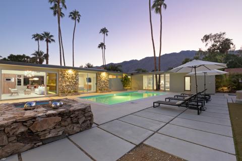 Modern Palms